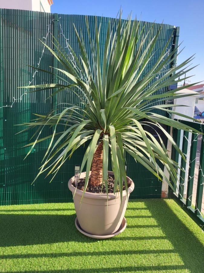 Maravillas De Tenerife Abades  Bagian luar foto